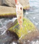 Имеретинка, крайний вечер: бабушка-скорпена и луфарь на выбросе съел половину слага