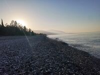 Абхазия, Цандрипш: штиль и жара, ноль ночью, рассветный луфарь устроил праздник