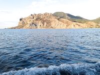 Коктебель, проверка краба: дважды насадка исчезла с крючка — котэ балую барабулькой