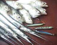 Когда море колбасит: фото с рыбалок под ветром и волной, работа по окнам клёва