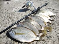 Когда море колбасит: фото с рыбалок под ветром и волной, работа по окнам клёва