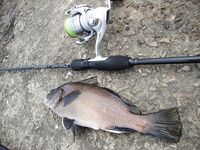 Когда море колбасит: фото с рыбалок под ветром и волной, работа по окнам клёва