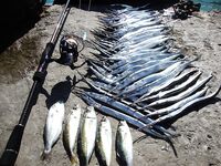 Когда море колбасит: фото с рыбалок под ветром и волной, работа по окнам клёва