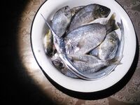 Утренние караси и «тот самый» — цель закрыта одним экземпляром