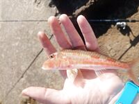 Чуть фото по обстановке: фиксирую волну, людей и монтажи для себя