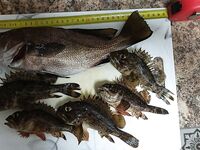 Имеретинские камни до 19:00: короткий сет на микрорезину между делами