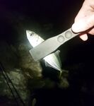 Сочи 30.10–05.11: трудовая неделя, личные рекорды по луфарю и зеленухе