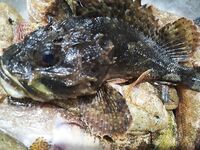 Скала, шторм и бычок: как нашёл пятачок и чем закончился вечер на море