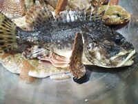 Скала, шторм и бычок: как нашёл пятачок и чем закончился вечер на море