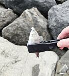 Погодный слом, водоросли на шнуре и один рыжик перед ливнем