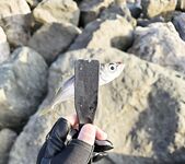 Сочи, Имеретинка — встречный ветер, осторожная ставрида и маленький луфарь