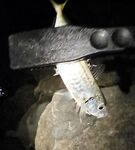 Имеретинка, закрытие отпуска: вечерний выход ставриды и пустой горбыль под подвохов