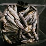 Лазаревская: рыба уже есть, но пока в количестве не разошлась - держу темп