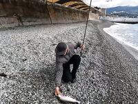 Крым, Ялта: охота за микижей в море и реках продолжается - морская рыбалка тут