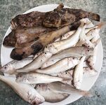 Между Хостой и Кудепстой: тирольки, навозный червь и бычок среди мелкого ерша