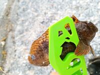 Фидер 5–8 вечера: 4 карася, две зеленушки и «монстр» в щипцах для опознания