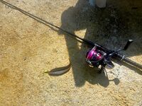 Турция и тревел INSIDER TRAVELLER ROCK FISH: тубус пилю, спиннинг радует