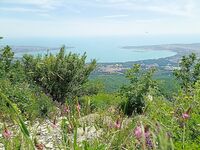 Морская рыбалка в Геленджике и Кабардинке: летом у берега мельчает, дальняк рулит