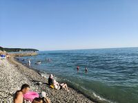 Агой сейчас, коротко: всё в норме — выходить стоит на рассвете и закат