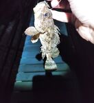 Геленджик, первый день: искупался, поужинал и к камням со спином