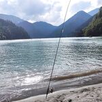 Озеро Рица, белый пламп: форель сошла у свала в двух метрах