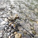 Озеро Рица, белый пламп: форель сошла у свала в двух метрах