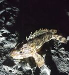 Снова слабовато, но не ноль: пустые тычки и пара реализованных