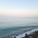 Лазаревское сегодня: ставрида потихоньку укрупняется и это радует