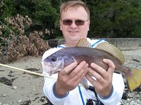 Воблеры работают: крэнки, шэды, минноу и даже свимбейты по морю