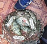 Боевой ящик в УФ: резина, свинец и настрой на полосатых разбойников