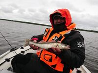 Боевой ящик в УФ: резина, свинец и настрой на полосатых разбойников