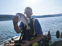 Жду пеламиду: маленький отчёт без главного трофея, но с надеждой