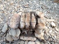 Сочи, август и ультрик: буллер, силикон, самодур и планы на тирольки