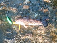 Сочи, август и ультрик: буллер, силикон, самодур и планы на тирольки