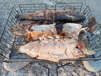 Сочи, август и ультрик: буллер, силикон, самодур и планы на тирольки