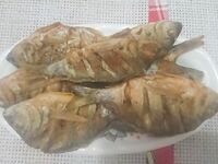 Вечерняя зорька: зелёные с первых забросов, карась перед травой, воблеры молчат