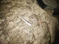 Июль и пилькер — не сезон, но кое-что поймал: летние выезды по железу в картинках