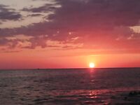 Почти штиль — и хуже клюёт: карась мельчает, барабулька оживилась к уходу