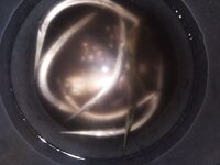 Керченский пролив — классика: сарган и пузанок держат темп под берегом