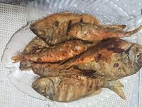 Праздничный вечер: карась набит ракушкой и травой, скорпена мелкая, барабулька в миксе