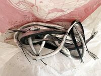 Несебр: сарган на червя после подсказки местного — взял немного на жарево