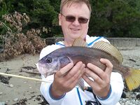 Спор о приманках: столовки горбыля решают больше, чем типаж приманки