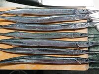 Проспал зорьку: бомбарда дала пару, пилькер с мухой — ноль; стоит далеко, надо добрасывать