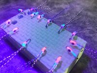 Сарган с утра: штиль — тишина, раздуло — пошёл; стоит далеко, реализация хромает