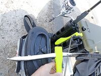 Геленджик–Анапа: сарган в конце октября — лучшие эмоции и мухи на двойнике