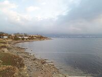 Геленджик–Анапа: сарган в конце октября — лучшие эмоции и мухи на двойнике