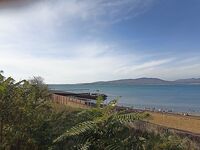 Геленджик–Анапа: сарган в конце октября — лучшие эмоции и мухи на двойнике