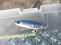 Геленджик–Анапа: сарган в конце октября — лучшие эмоции и мухи на двойнике