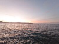 Геленджик–Анапа: сарган в конце октября — лучшие эмоции и мухи на двойнике