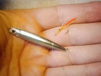 Геленджик–Анапа: сарган в конце октября — лучшие эмоции и мухи на двойнике